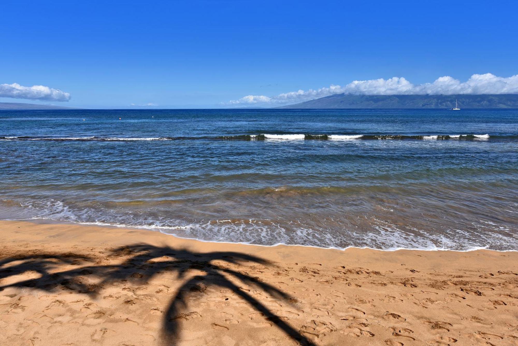 Kaanapali Shores 160 - Sleep Steps Away From The Ocean Kahana Exterior photo