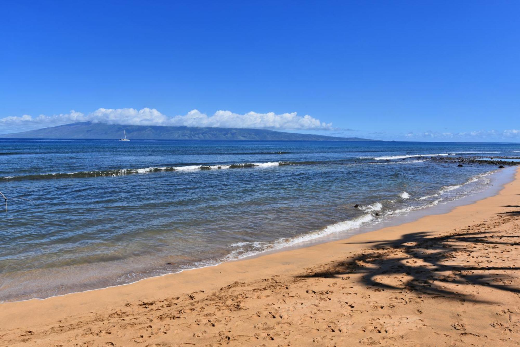 Kaanapali Shores 160 - Sleep Steps Away From The Ocean Kahana Exterior photo