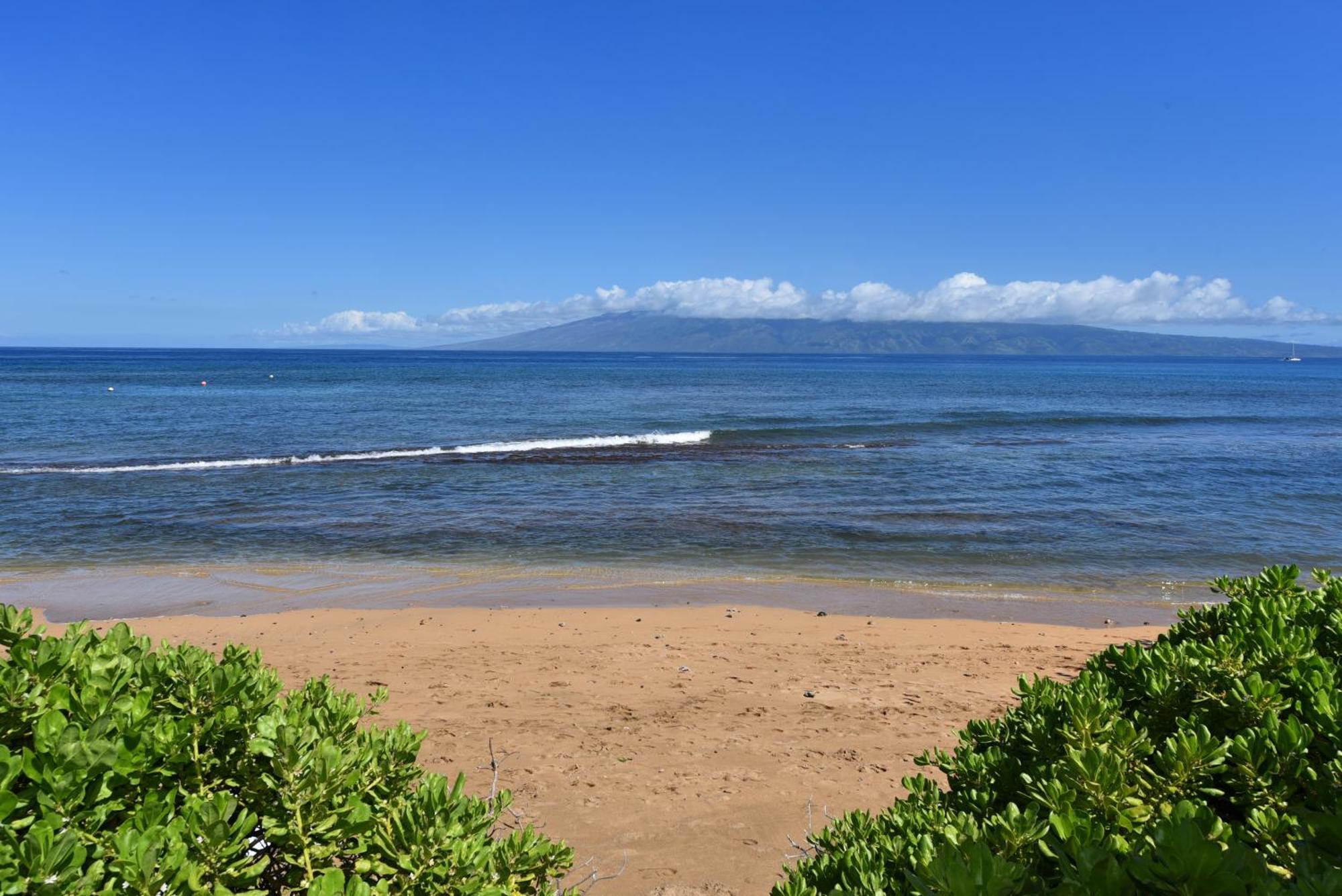 Kaanapali Shores 160 - Sleep Steps Away From The Ocean Kahana Exterior photo
